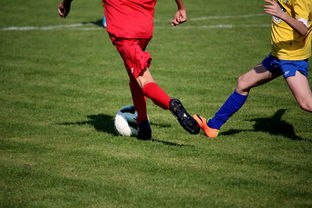 米兰体育下载-中国足球年度训练项目与技战术实战匹配，中国足球队战术