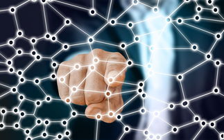 米兰体育-中国足球青训梯队人员年龄层结构，足球青训年龄段