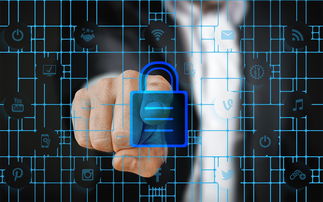 米兰体育app平台-数字化体育资源共享平台建设与管理，数字体育平台是什么