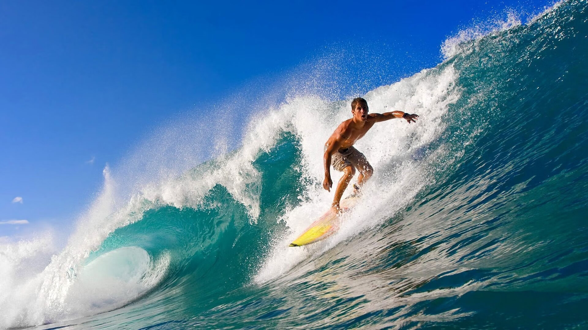 WTA巡回赛出现多场焦点对决