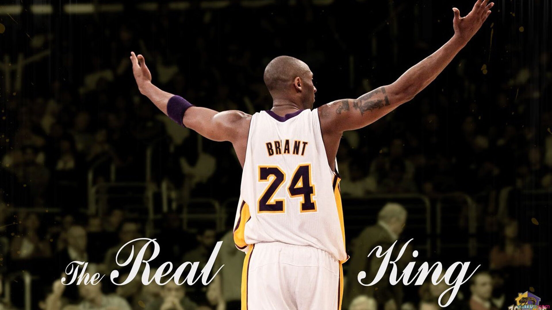 篮球球队阵容变化观察